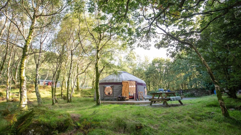 Yurts surrounded by trees