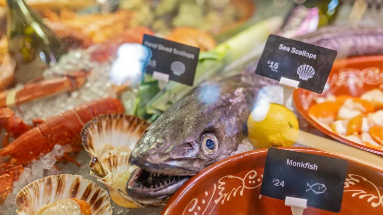 Fresh seafood display featuring monkfish, scallops and shellfish on ice at The Custom House