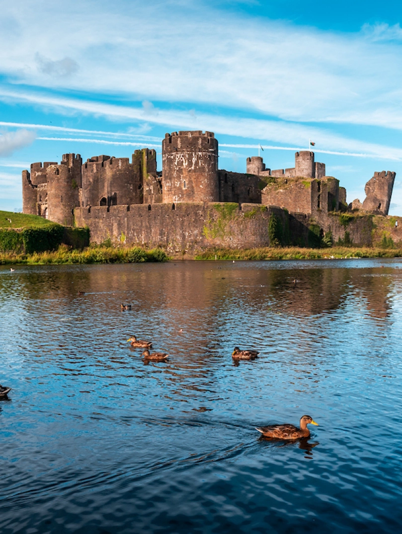 A castle with a leaning tower behind ducks swimming on a moat.