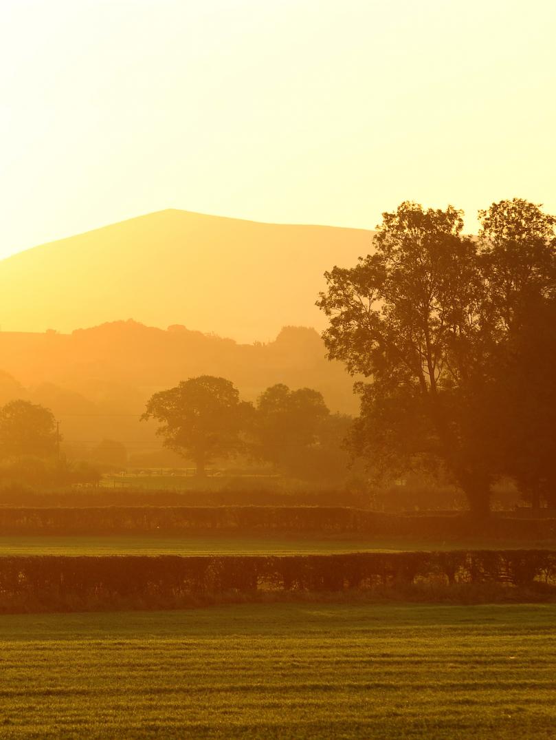 Image of fields, trees and hills at dawn