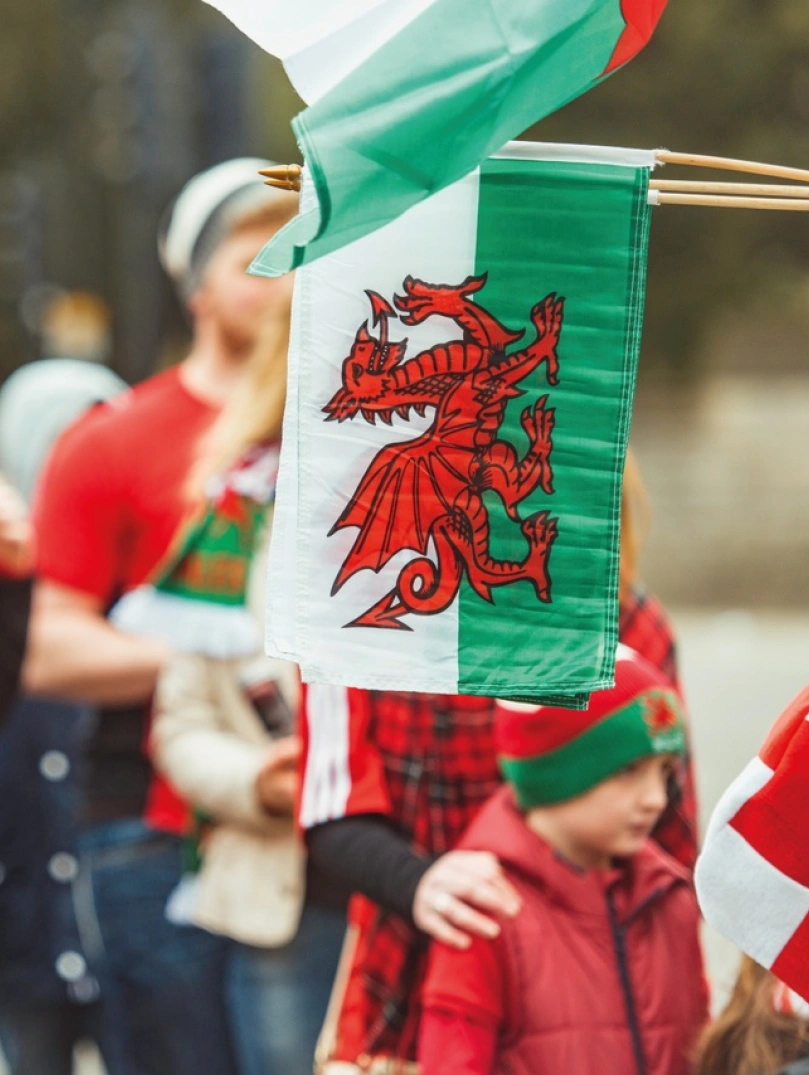 A crowd and a Welsh flag - green and white with a red dragon.