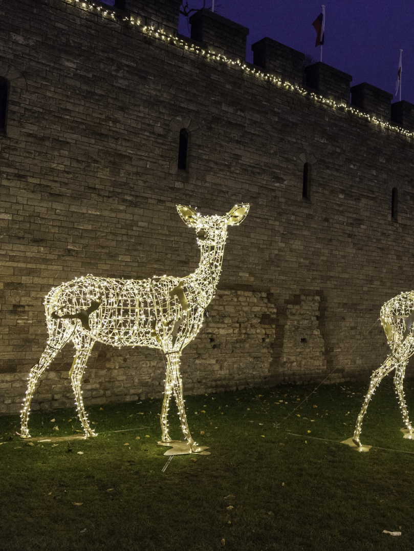 Large illuminated deer Christmas decorations outside Cardiff Castle walls.