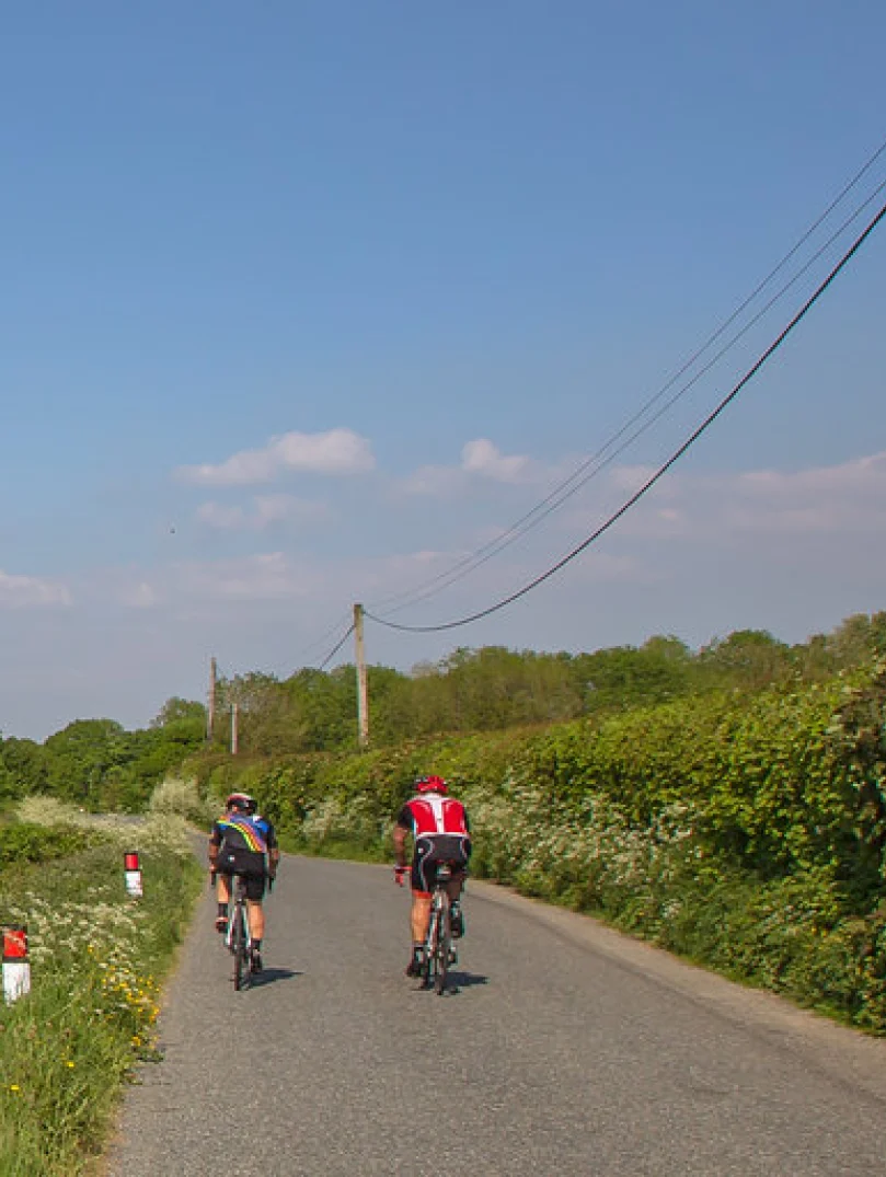 Cyclists on a road in the countryside.