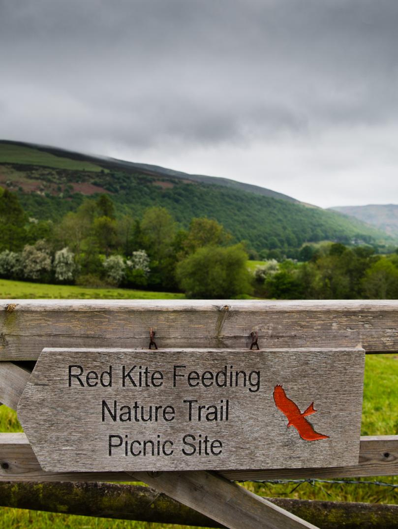gate with sign Red Kite Feeding Natural Trail Picnic Site and countryside in background.