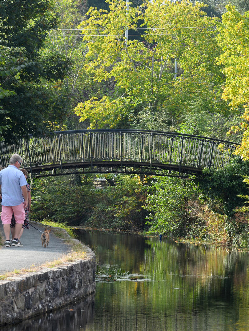 Man walking with two dogs along the canal