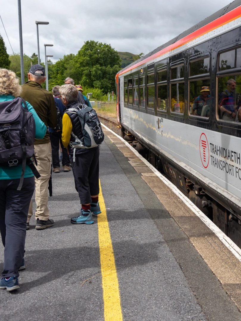 A group of walkers catching a train.