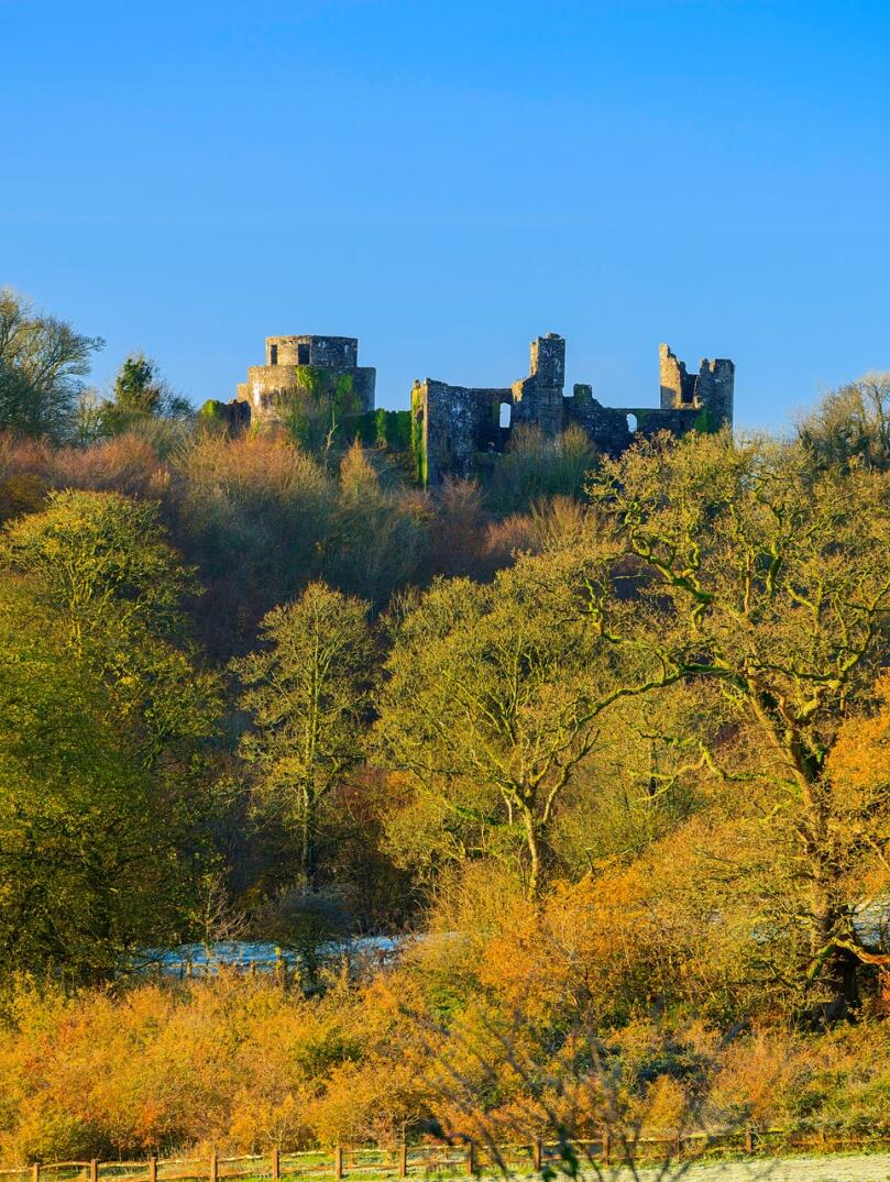 A ruined castle on a hill with autumnal trees below.
