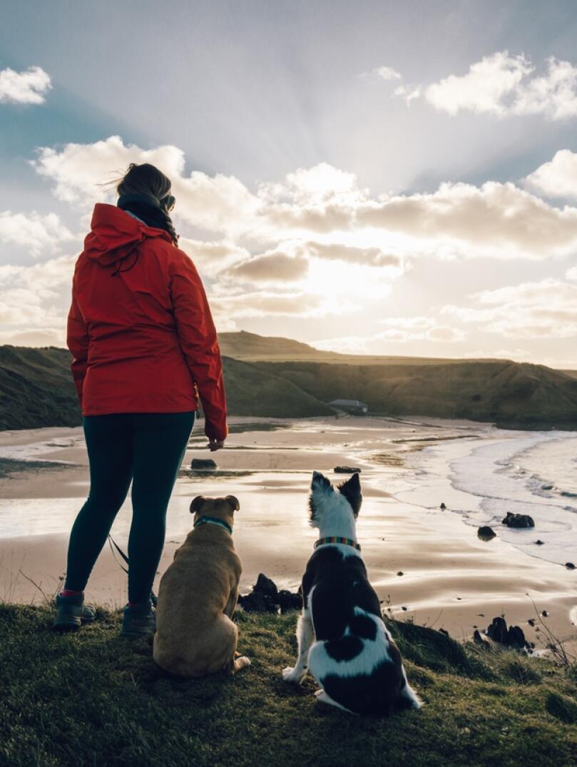 A person in a red jacket standing with two dogs looking out on a sandy bay.