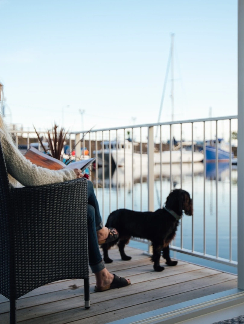 Dog and owner sitting outside looking over a marina