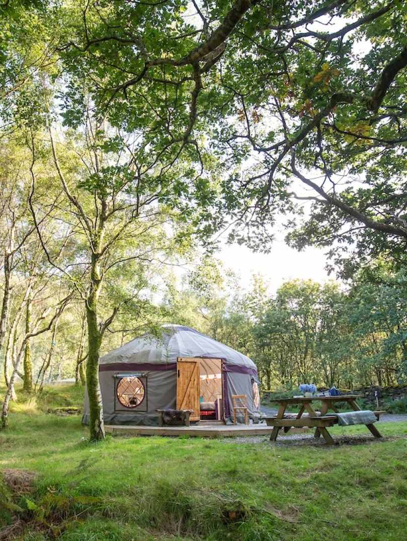 Yurts surrounded by trees
