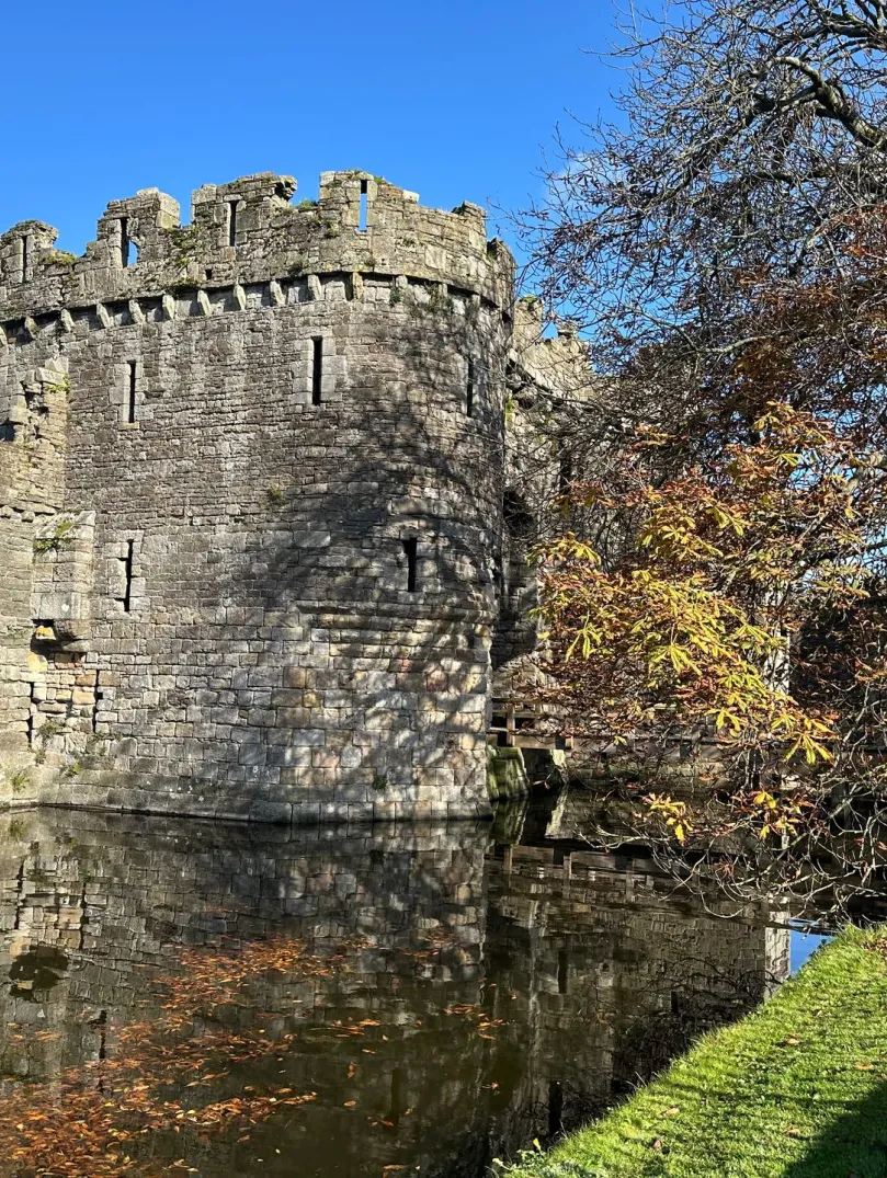 castle and moat with tree.
