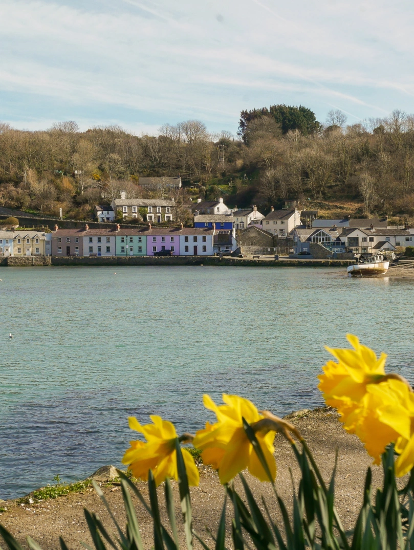 Ein kleiner Dorfhafen, gesäumt von bunten Häusern und Segelbooten.