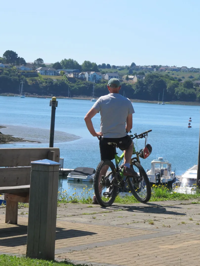 cyclist looking at marina.