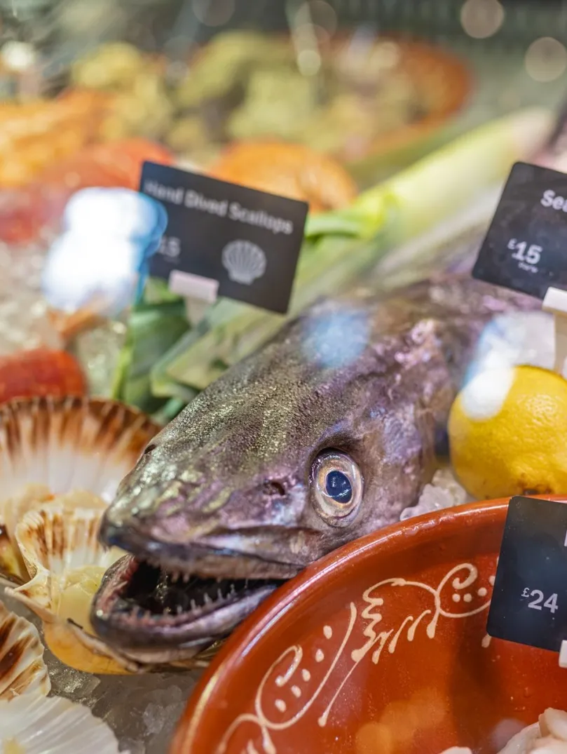 Fresh seafood display featuring monkfish, scallops and shellfish on ice at The Custom House