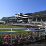 A racecourse surrounded by flowers and the seating area and hospitality boxes.