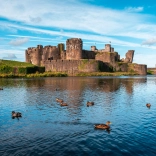 A castle with a leaning tower behind ducks swimming on a moat.