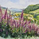 A watercolour painting of foxgloves on a hillside overlooking a valley.