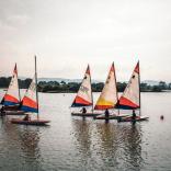 Five sailing boats on a lake
