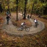 Group of mountain bikers taking a corner trail amongst forestry.