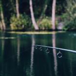 Fishing rod in lake.