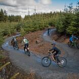 A group of mountain bikers on a downhill forest trail.