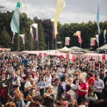 crowd at festival.