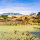 A green moss covered lake in front of a colourful slate bed.