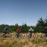 four people in a line on mountain bikes on path in bike park.