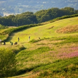 Golfers playing a round with stunning views seen from the height of Llandrindod Wells Golf Club.