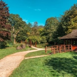 A hard path in a country park, with a pagoda and colourful trees. 