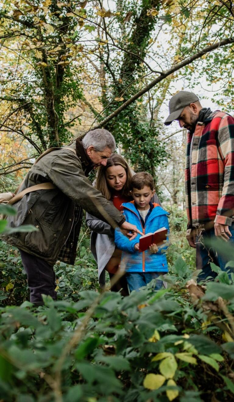 Eine Familie mit einem kleinen Jungen und einem Wanderführer im Wald, der ihnen einen Reiseführer zeigt