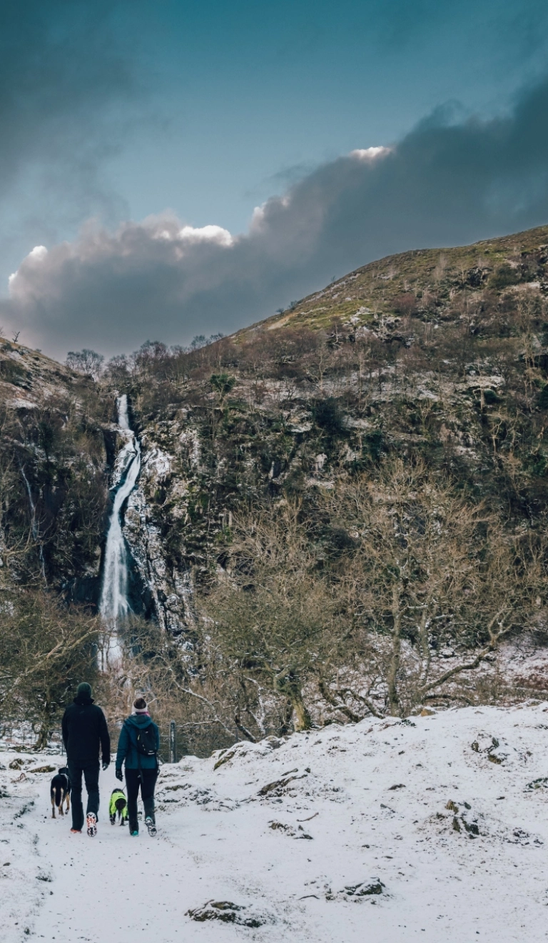 people walking dogs in snow with waterfall in background.