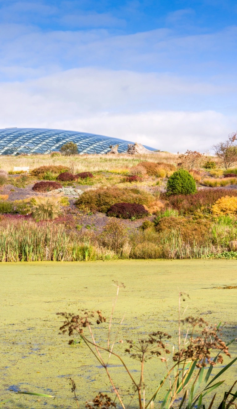 A green moss covered lake in front of a colourful slate bed.