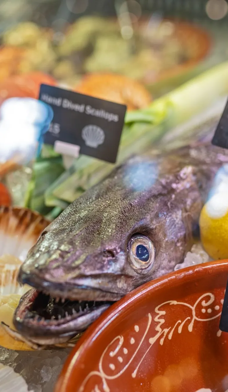 Fresh seafood display featuring monkfish, scallops and shellfish on ice at The Custom House