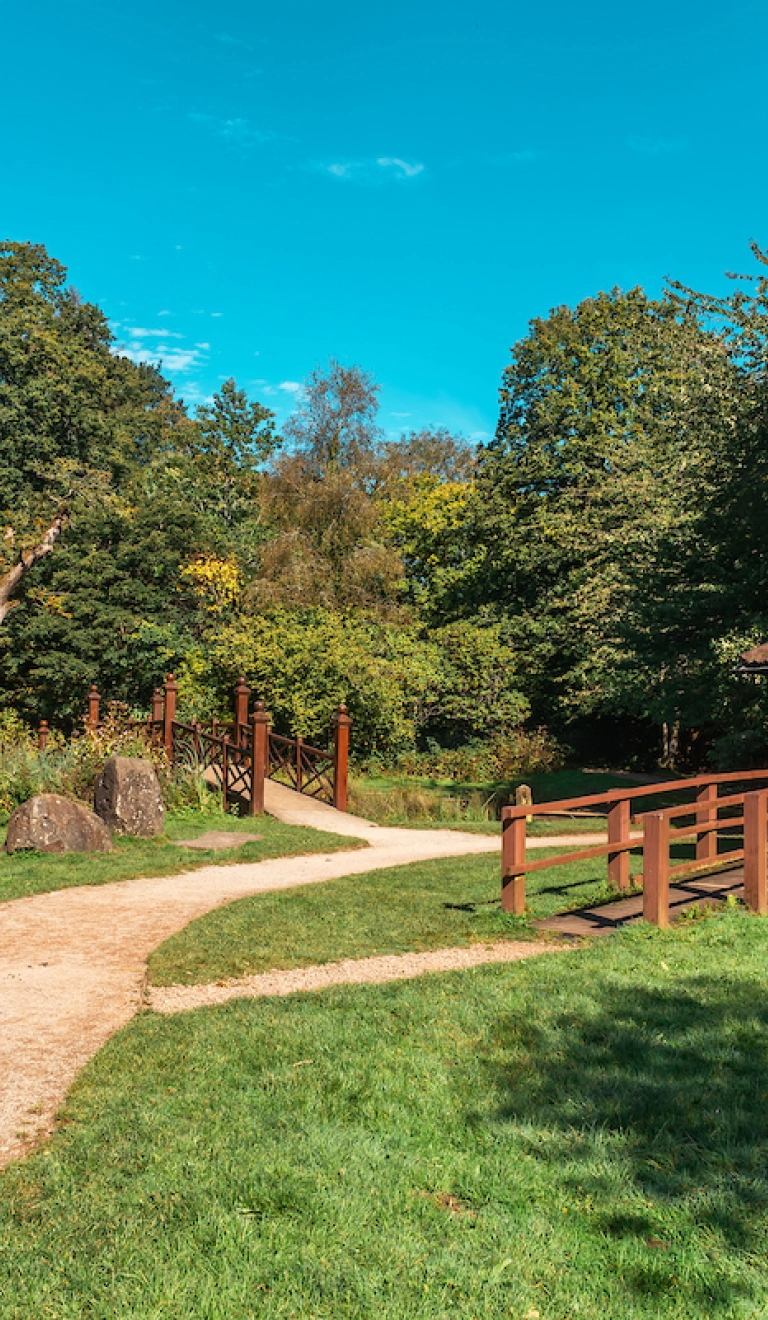 A hard path in a country park, with a pagoda and colourful trees. 