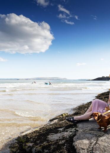 woman with dogs sat on rocks on beach.