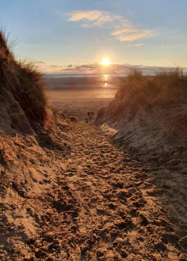 A sandy path through dunes looking at a sunset over a beach.